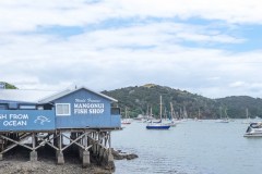 Mangonui-Fish-Shop-overlooks-the-Harbour