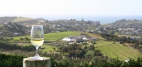NZ Wine Technology