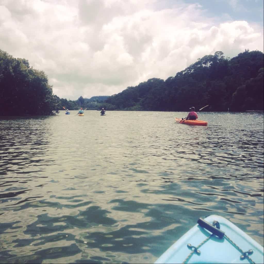 Kayaking is a great way to explore the Kerikeri Inlet.