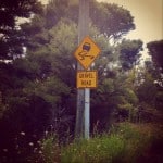 Beware of the gravel road to Wharau Road beach