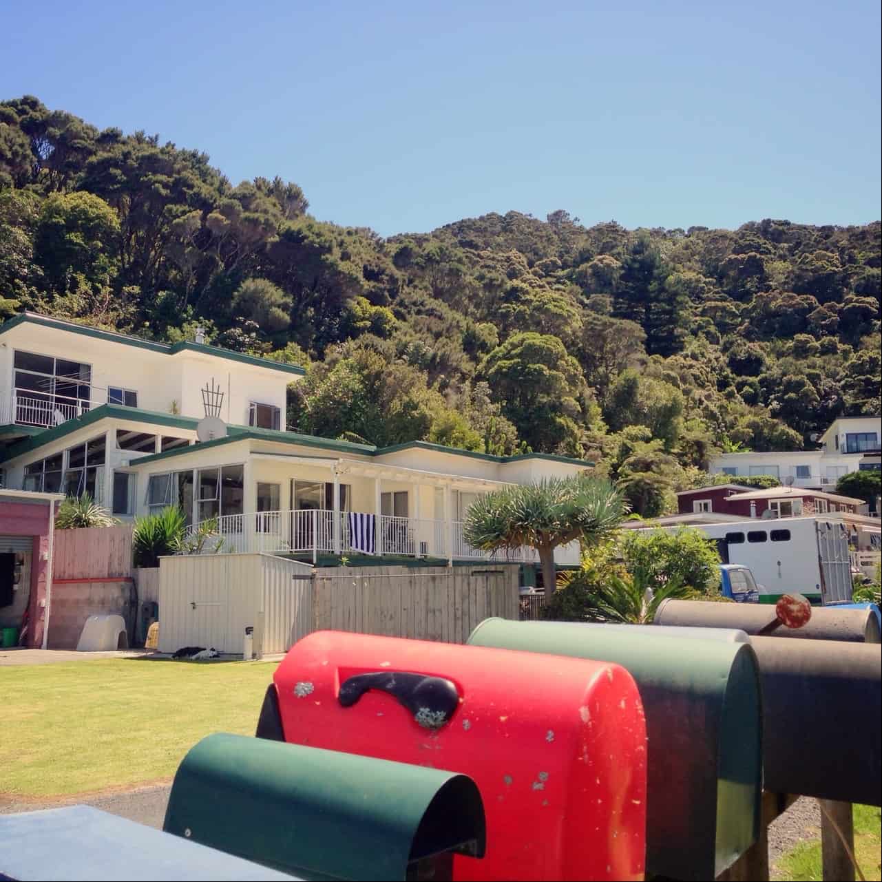 Opito Bay is a typical kiwi seaside settlement, with traditional baches (holiday homes).