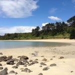If you're lucky, you might have Taronui Beach all to yourselves, like we did when we visited.