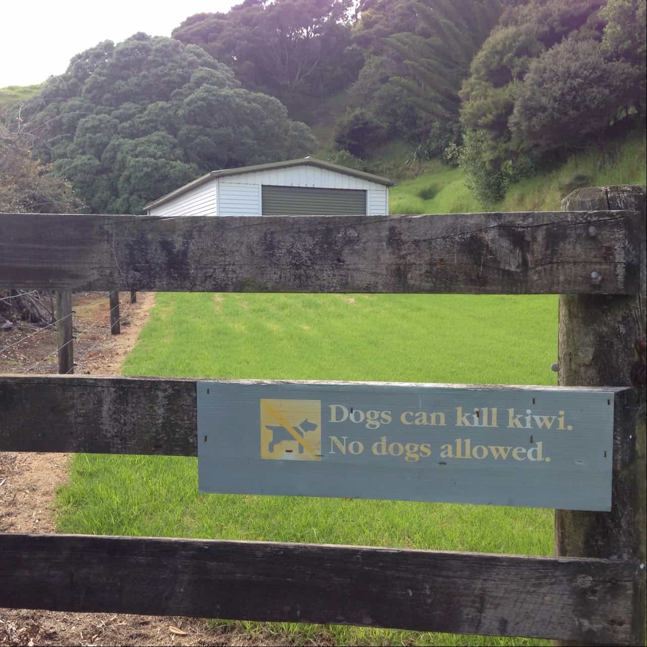 Wharau Road beach - no dogs allowed on adjoining land